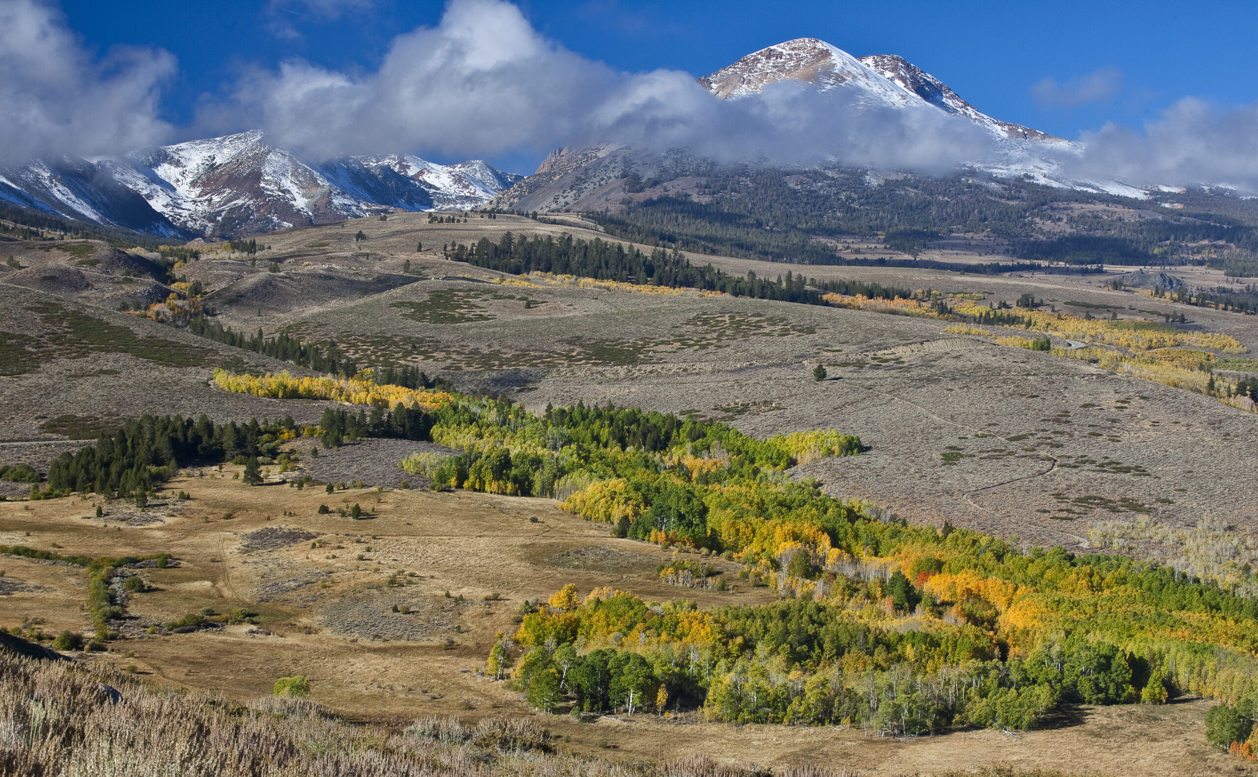 The Conway Summit Area of Critical Environmental Concern is managed by the BLM California’s Bishop Field Office.