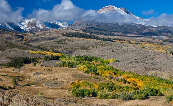 The Conway Summit Area of Critical Environmental Concern is managed by the BLM California’s Bishop Field Office.