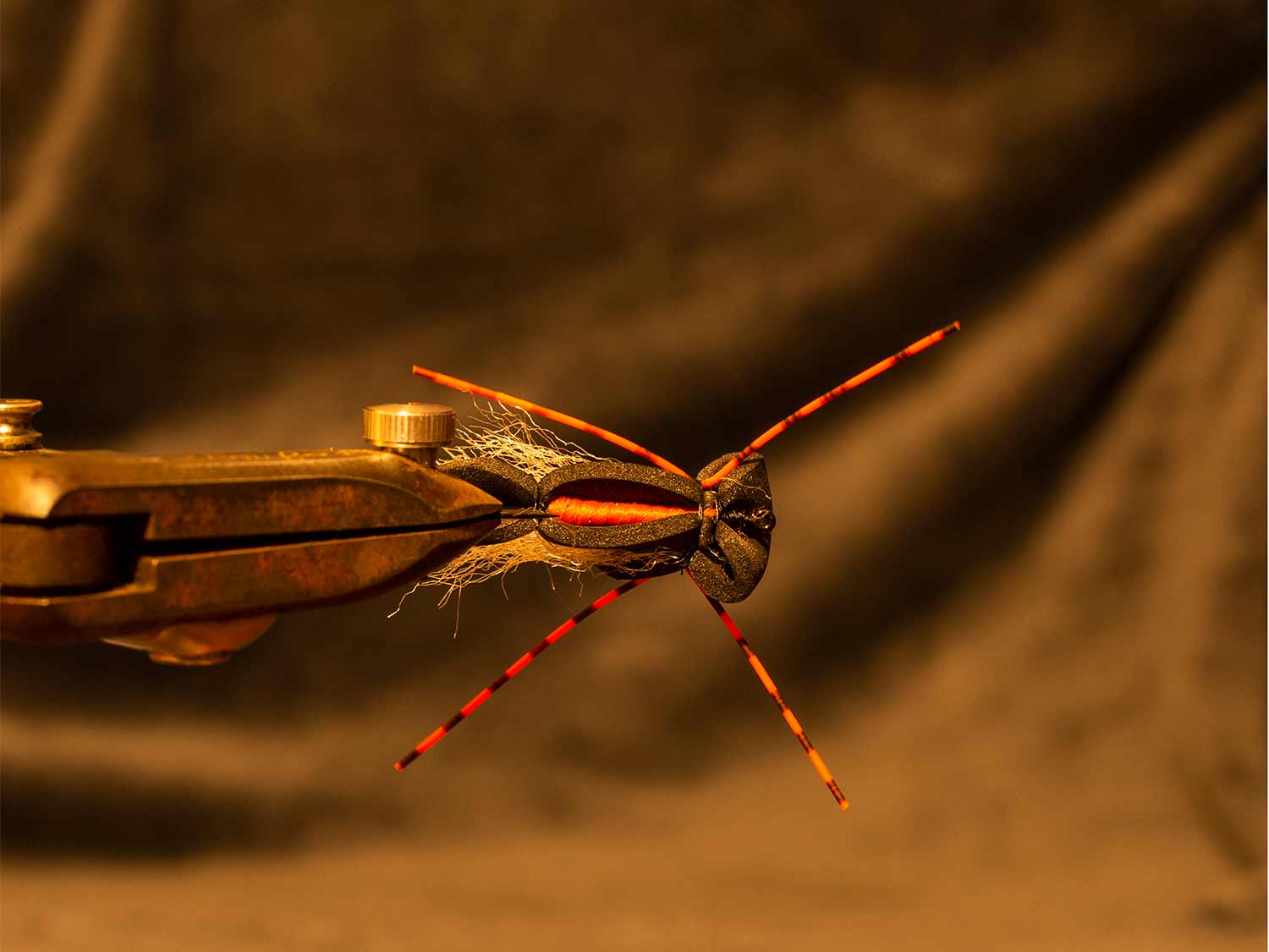 Step by step instructions of tying a cicada foam fly.