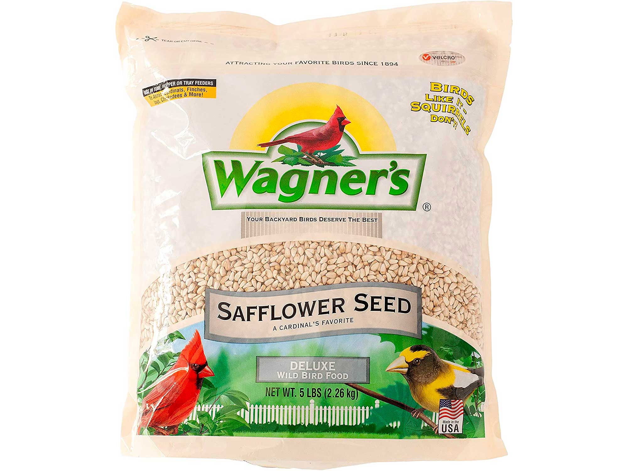 Best Bird Seed for Wild Birds, Songbirds & More | Outdoor Life