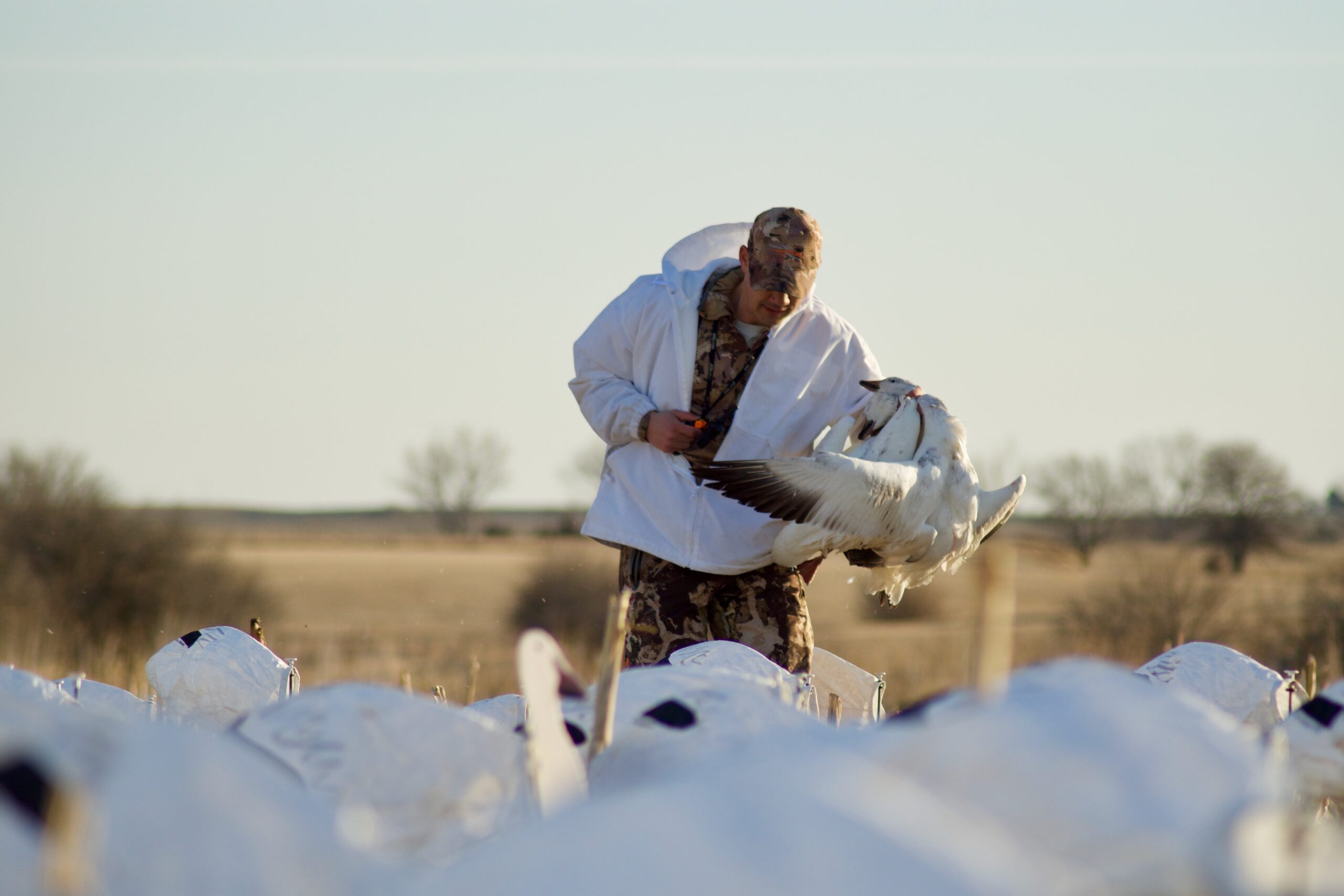 Keep it casual and don't get too addicted to snow goose hunting.