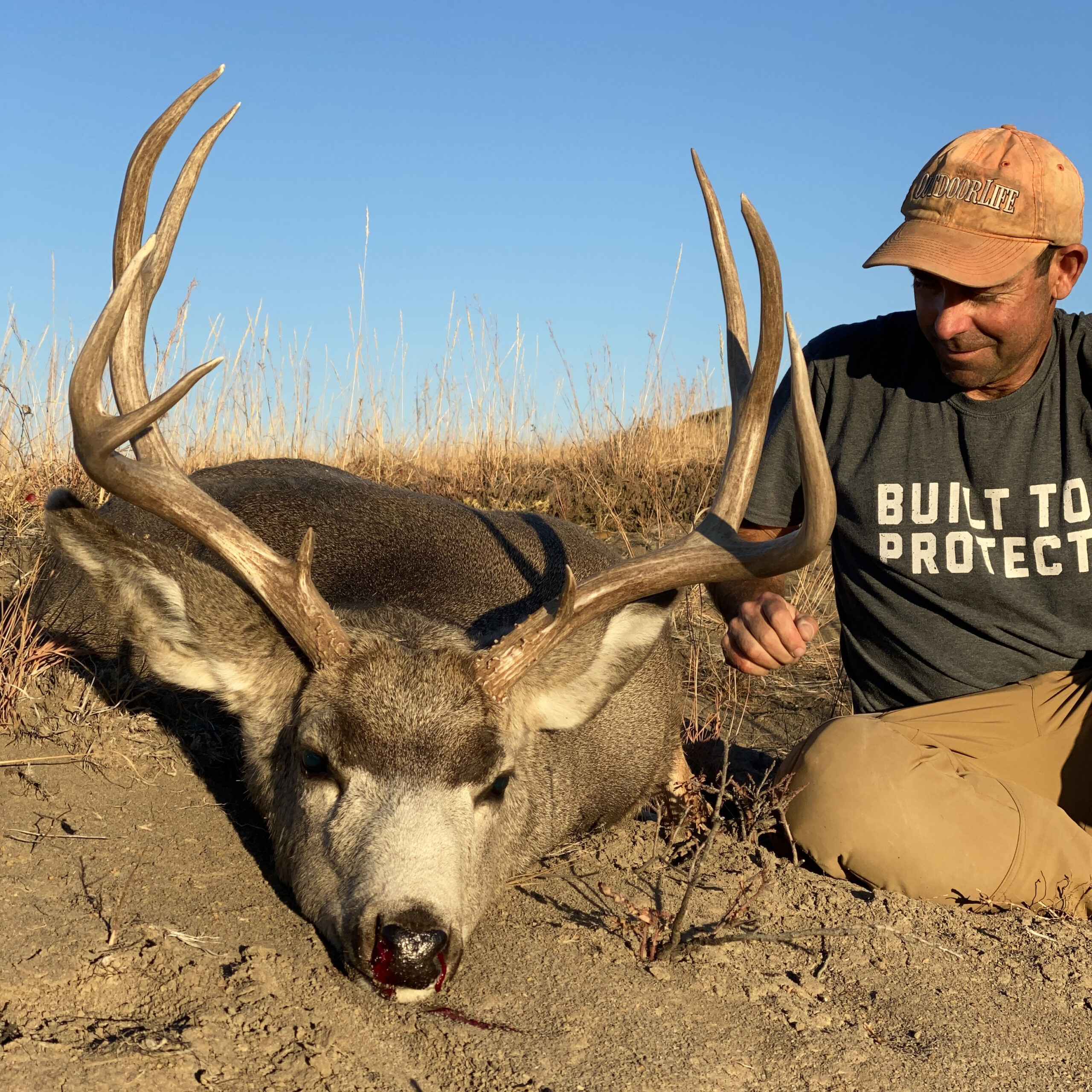 A hunter in a t-shirt admires a nice mule deer buck.