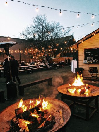 Outdoor fire pits burning wood logs at a picnic.