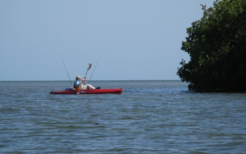 Lowrance Hook Reveal Power Cable – Wild Coast Kayaks