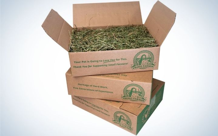  Three cardboard boxes with green writing on them and green grass inside them.