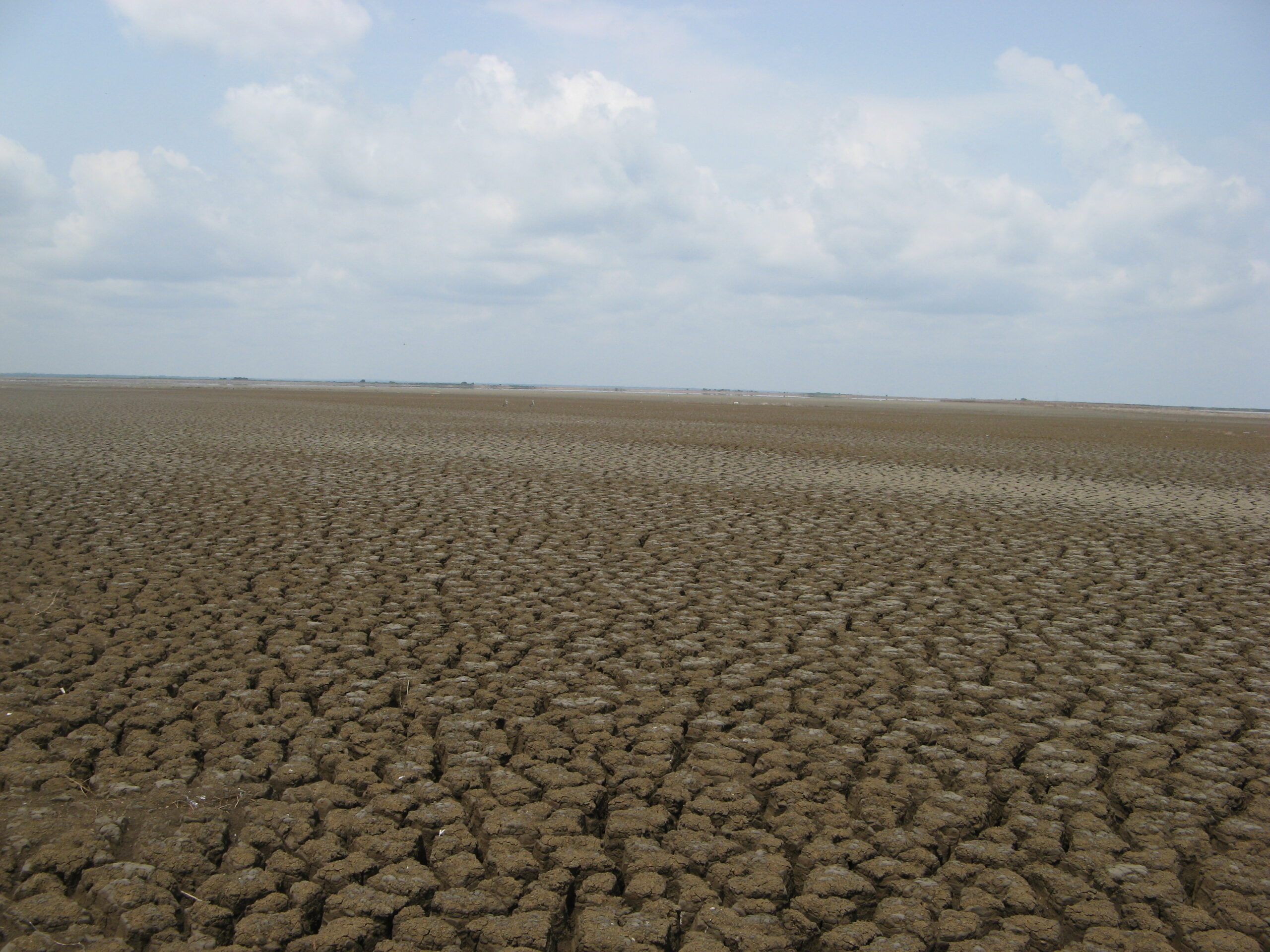 Marshes disappearing in Mobile Bay, Alabama.