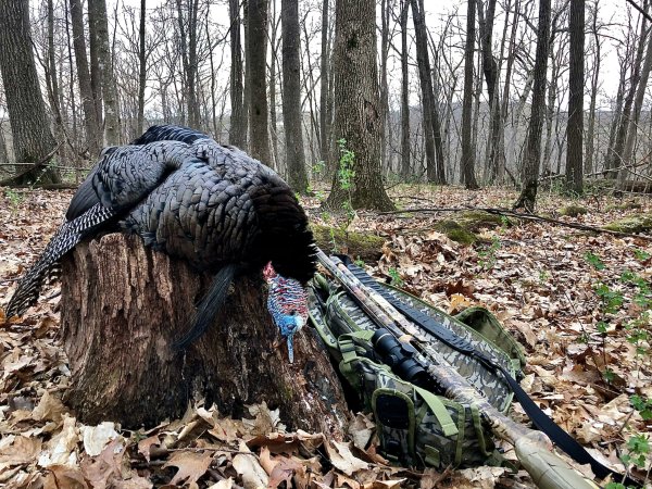 A Minnesota gobbler taken in the woods without a decoy