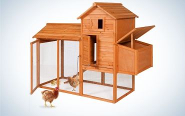 Best Chicken Coop To Raise Chickens | Outdoor Life