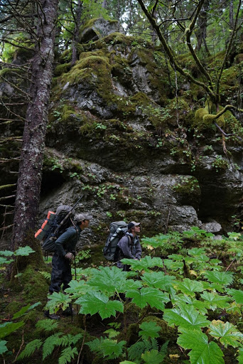 Hiking through the Tongrass National Forest with the Stone Glacier Skyscraper tent.