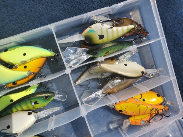 Berkley crankbaits