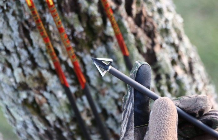  tooth of arrow broadhead