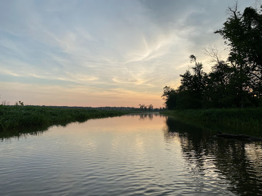 Paddling down a small creek