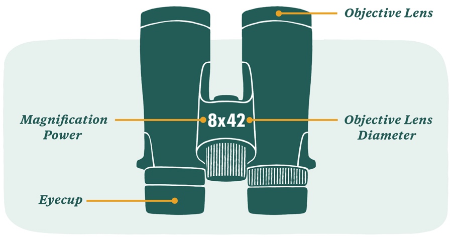 ea illustration binoculars specs What Do Numbers on Binoculars Mean?