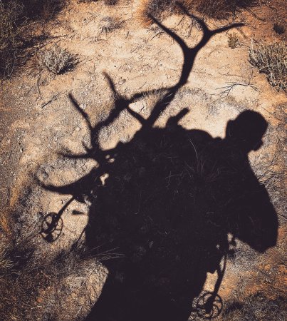 Bowhunter packing out an elk