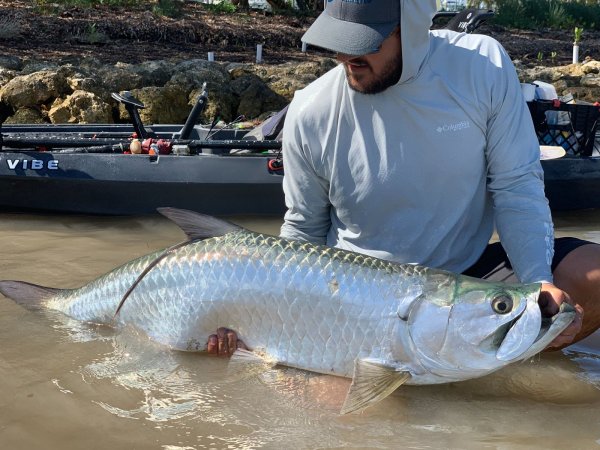 Fisherman holding tarpon