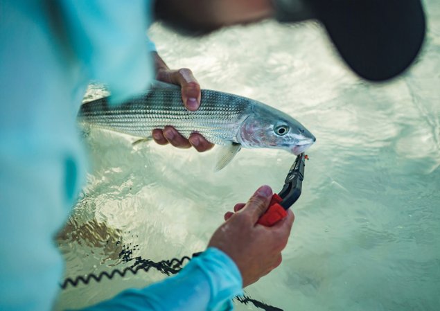 We tested the best fishing pliers.