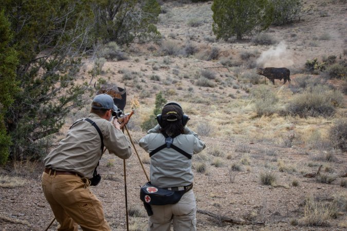 Bullets can ricochet off a variety of surfaces.