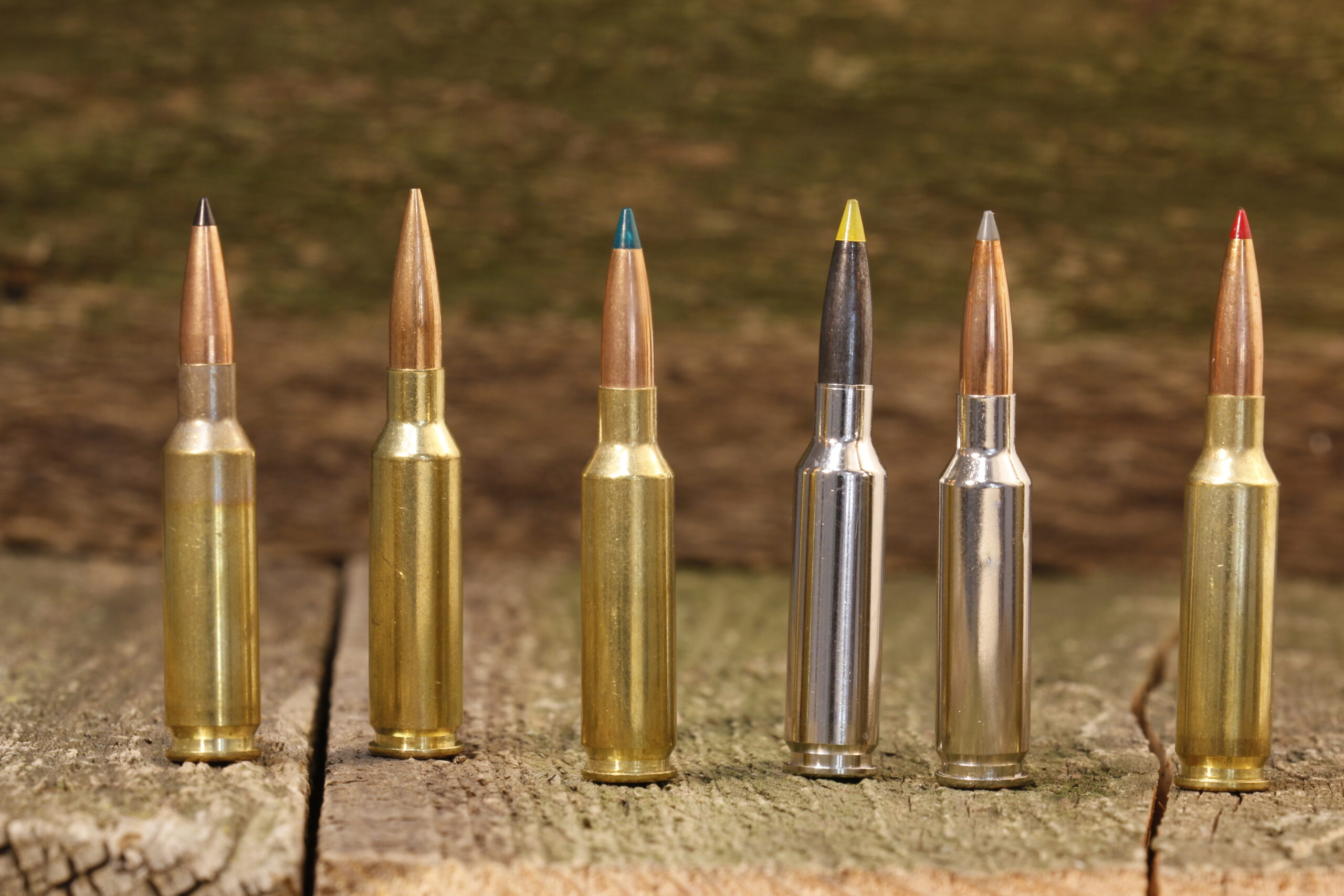 The 6.5 Creedmoor is extremely versatile.