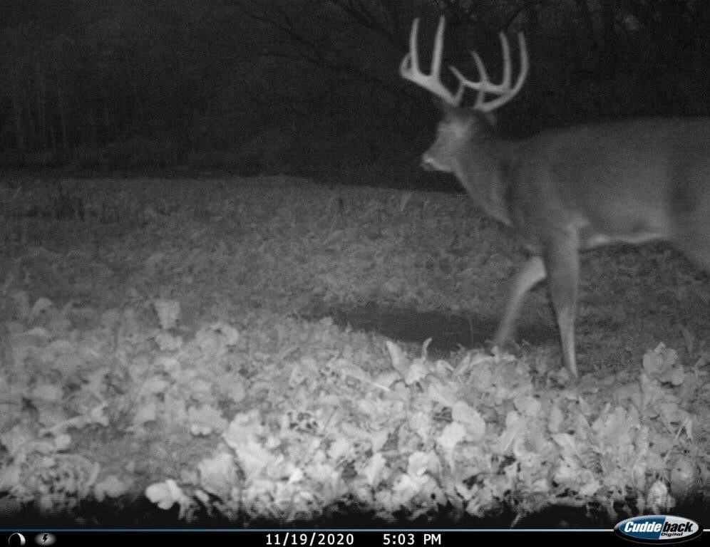 IR Flash buck not spooked