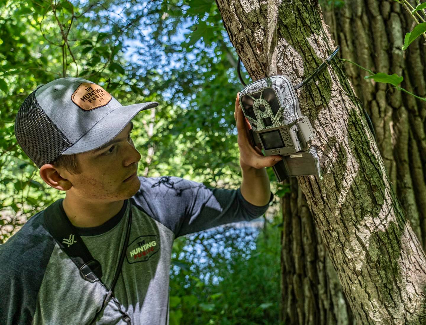 Checking a trail camera