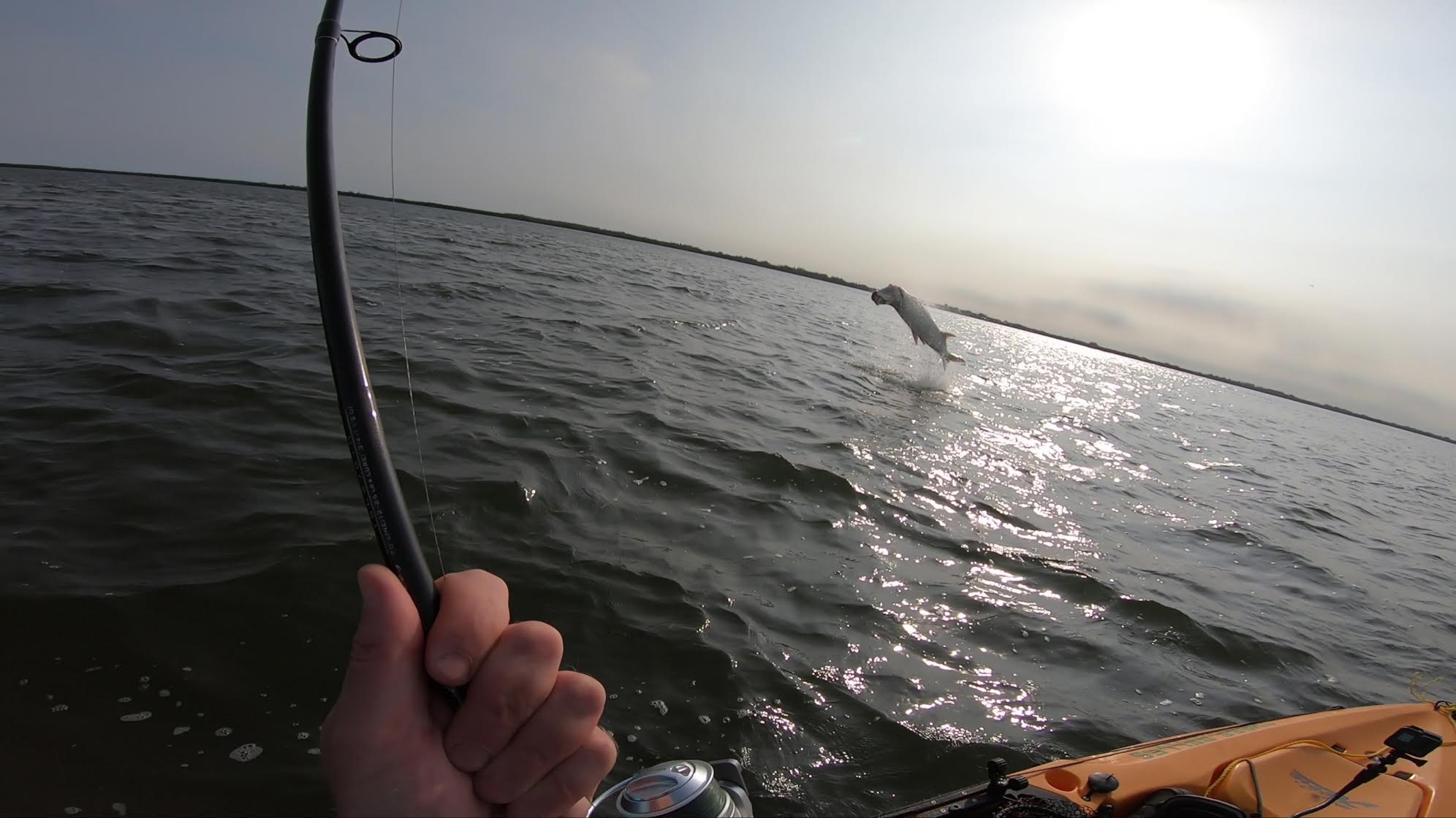 A caught fish leaps out of the water