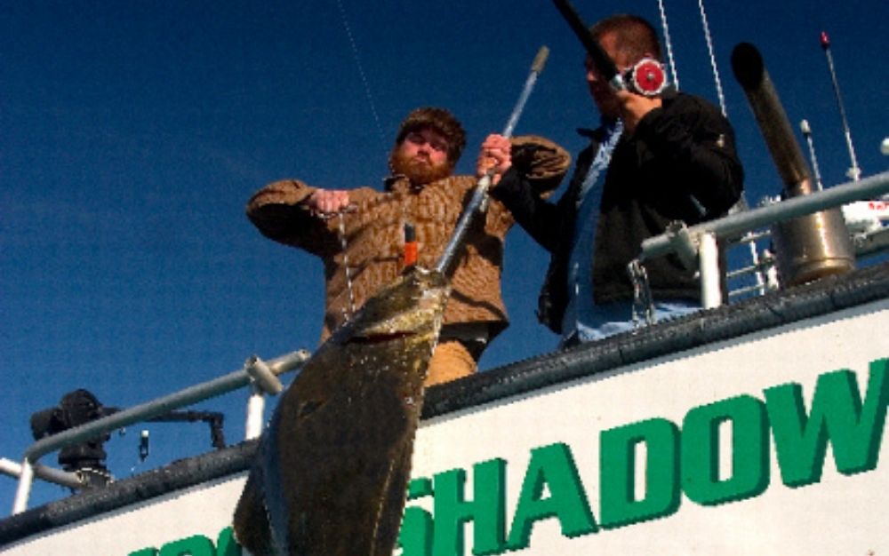Best Gaff: Fishing Equipment That's Worth the Money