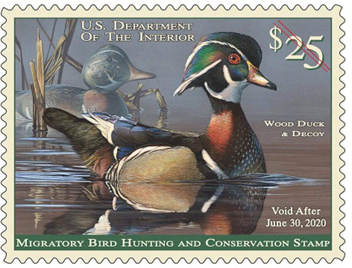 Why are there so many more duck stamps bought than duck hunter?