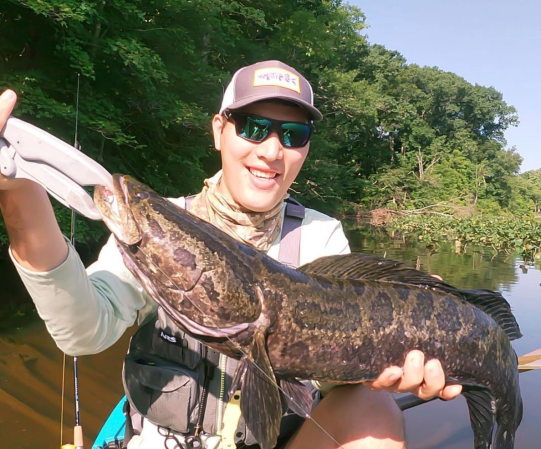 fish grips snakehead