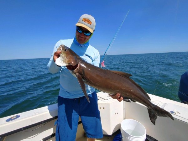 Shimano Spheros SW cobia