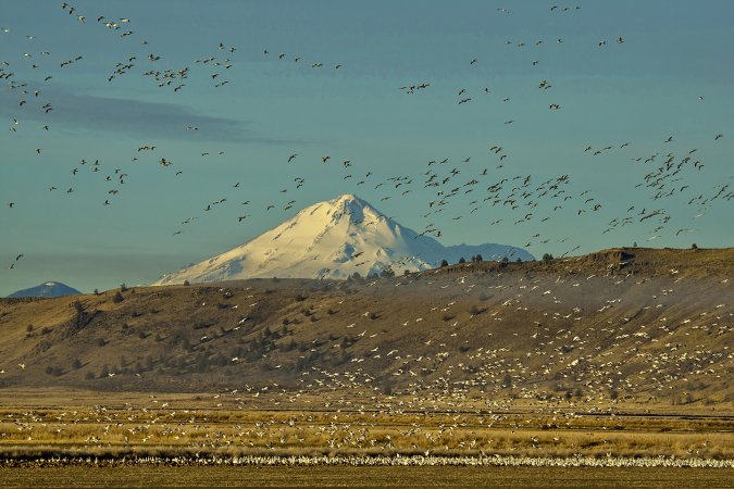 Lower Klamath NWR will get water this fall.