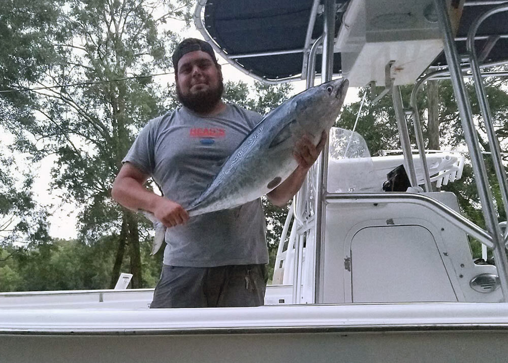 Angler Cuts Alabama State-Record Bonito into Shark Bait