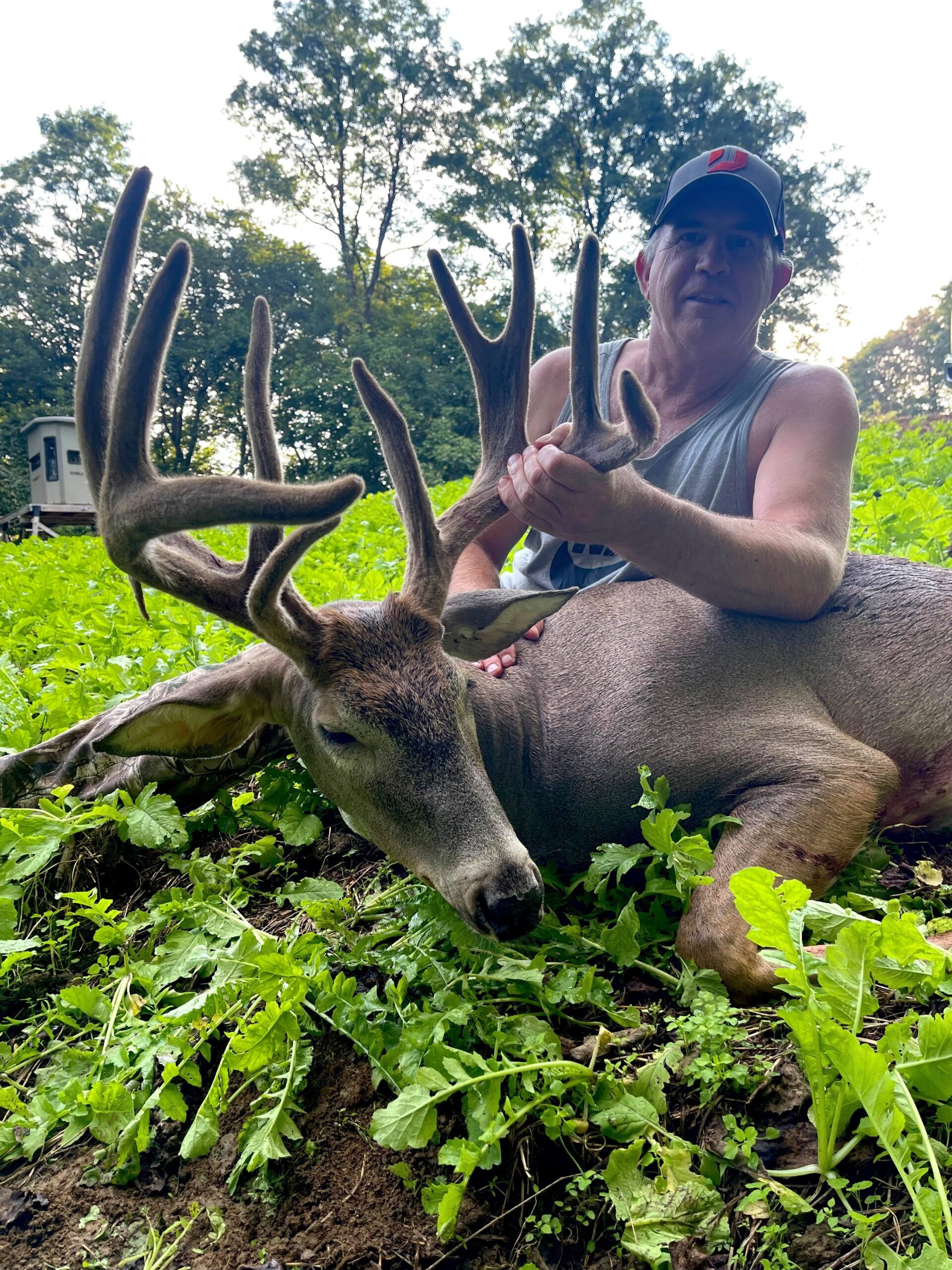 A 12-pointer velvet buck from Kentucky.