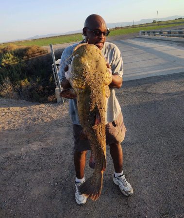 50-pound flathead catfish caught on Susquehanna River sets Pa. record