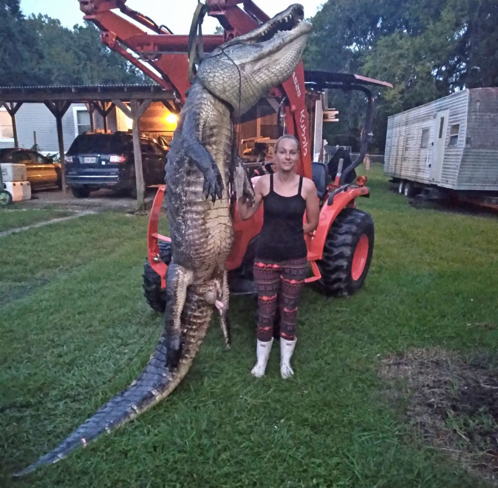 Louisiana Hunter Tags Massive 11 Foot Alligator Outdoor Life 9081