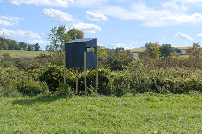 elevated deer blind