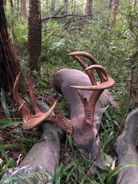 Key Smith's big, symmetrical Mississippi buck.