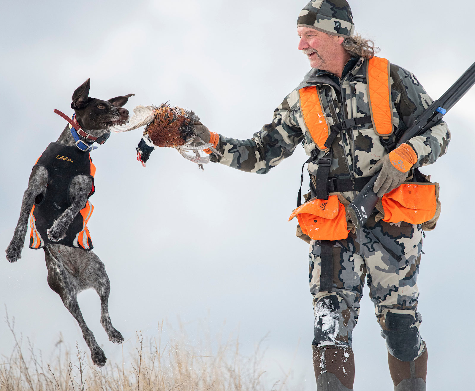 bird dog and hunter