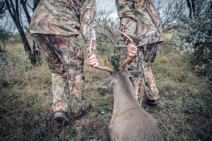 dragging out a buck