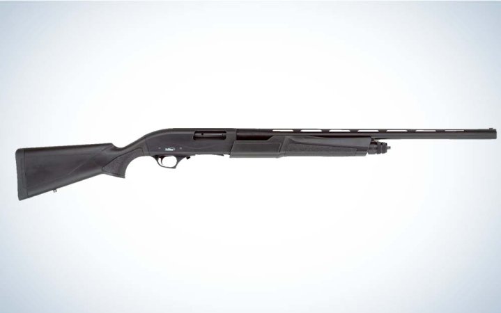  A black shotgun