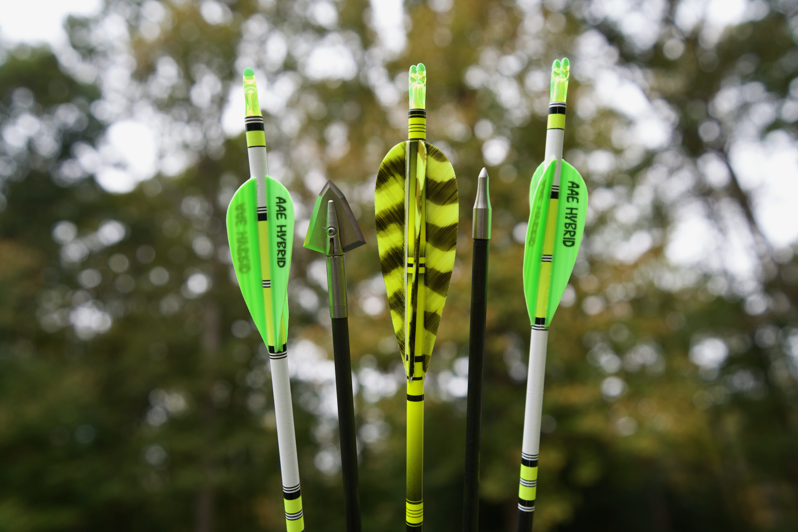 More Big Game Penetration with 6mm Under Armour Carbon Arrows - Easton  Archery