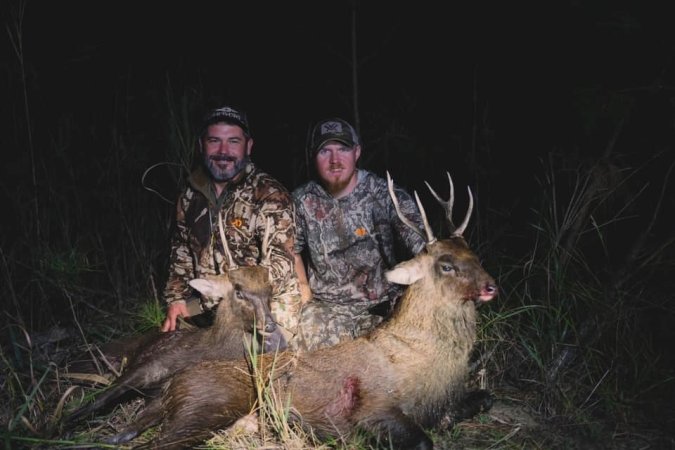 Sika hunters and two stags