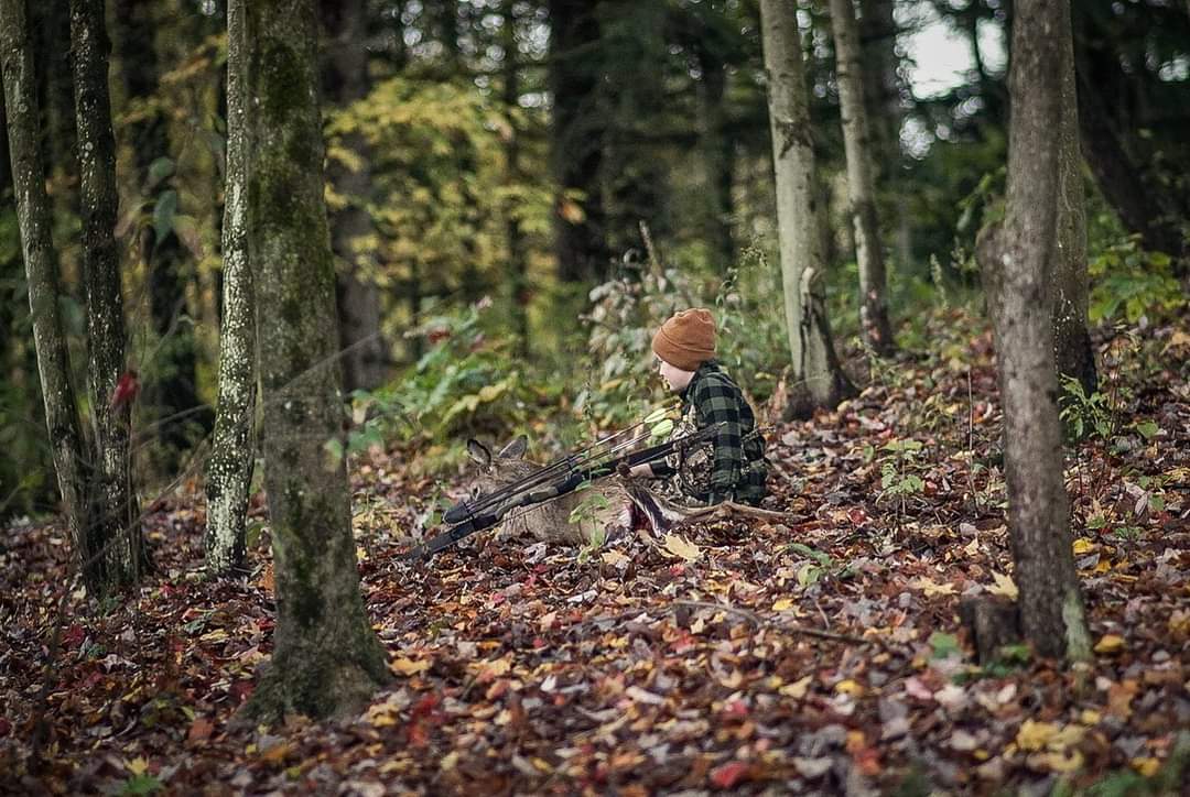 bowhunting deer