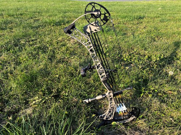 The Best Bowfishing Gear for Beginners
