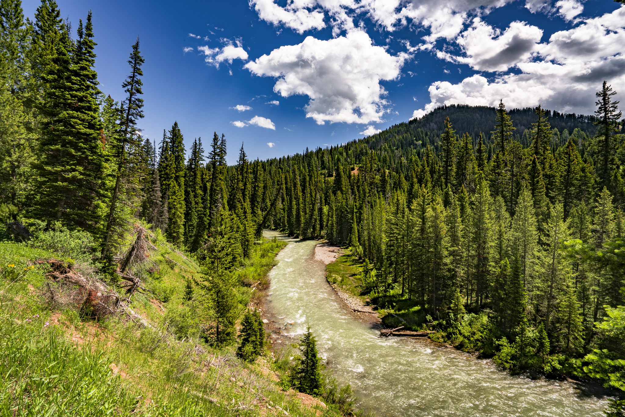 The Bridger-Teton National Forest is located in Western Wyoming