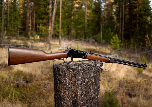 The Best Rimfire Rifles