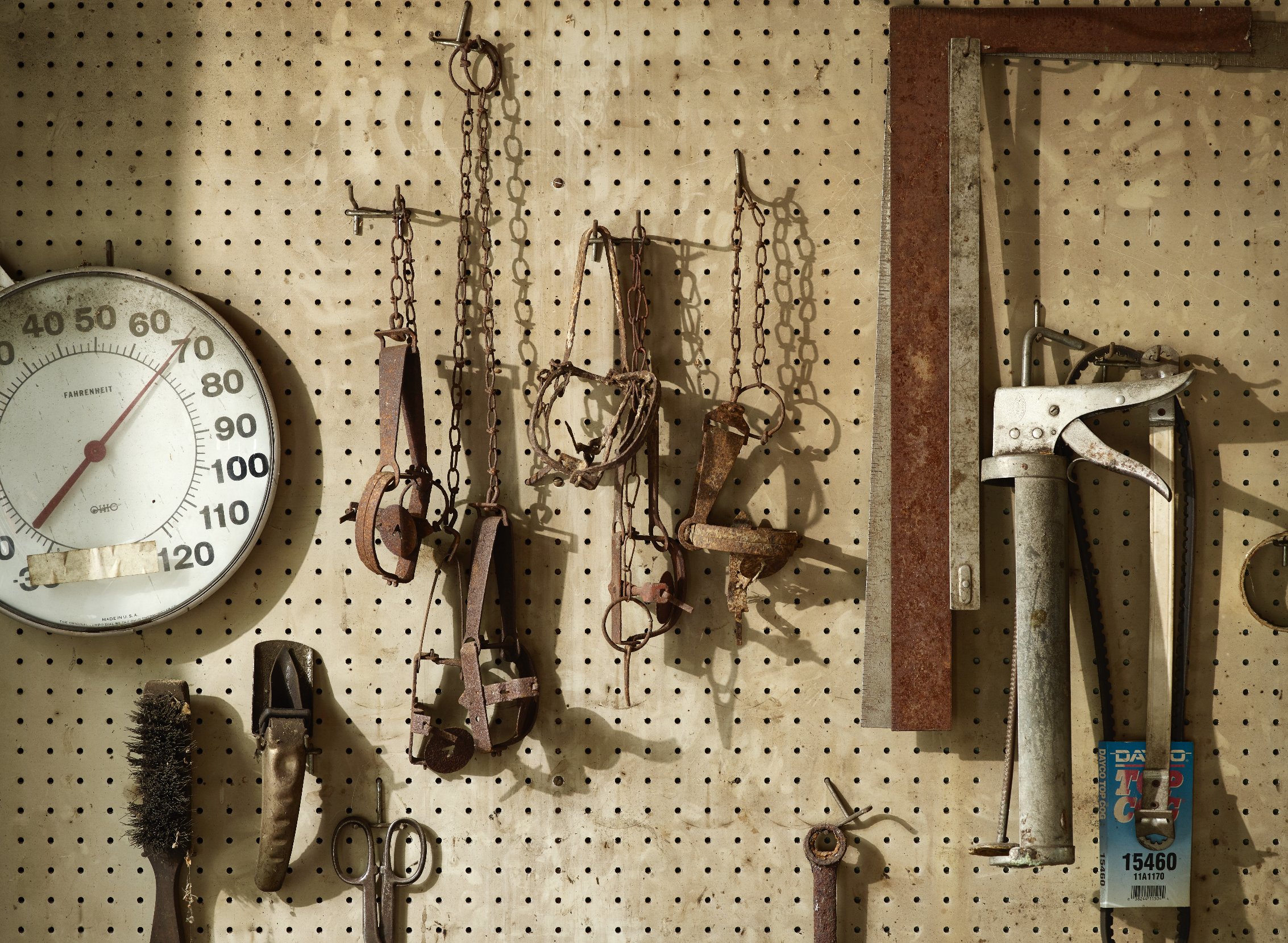 Rusty traps for trapping, hanging on a pegboard.