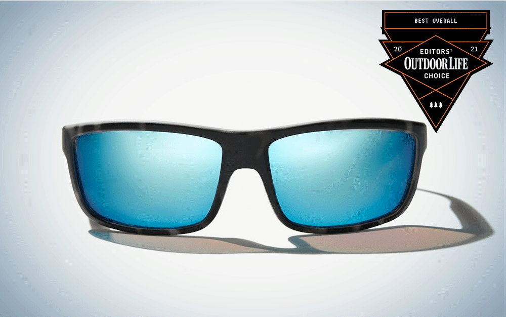 Polarized Bifocal Sunglasses Mens Womens UV Fishing Reading Black Brown  +2.50, 1 - Fry's Food Stores