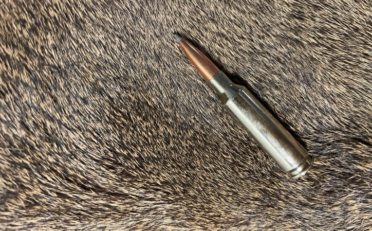 A 6.5 Creedmoor cartridge doesn't always produce the best blood trails on deer.