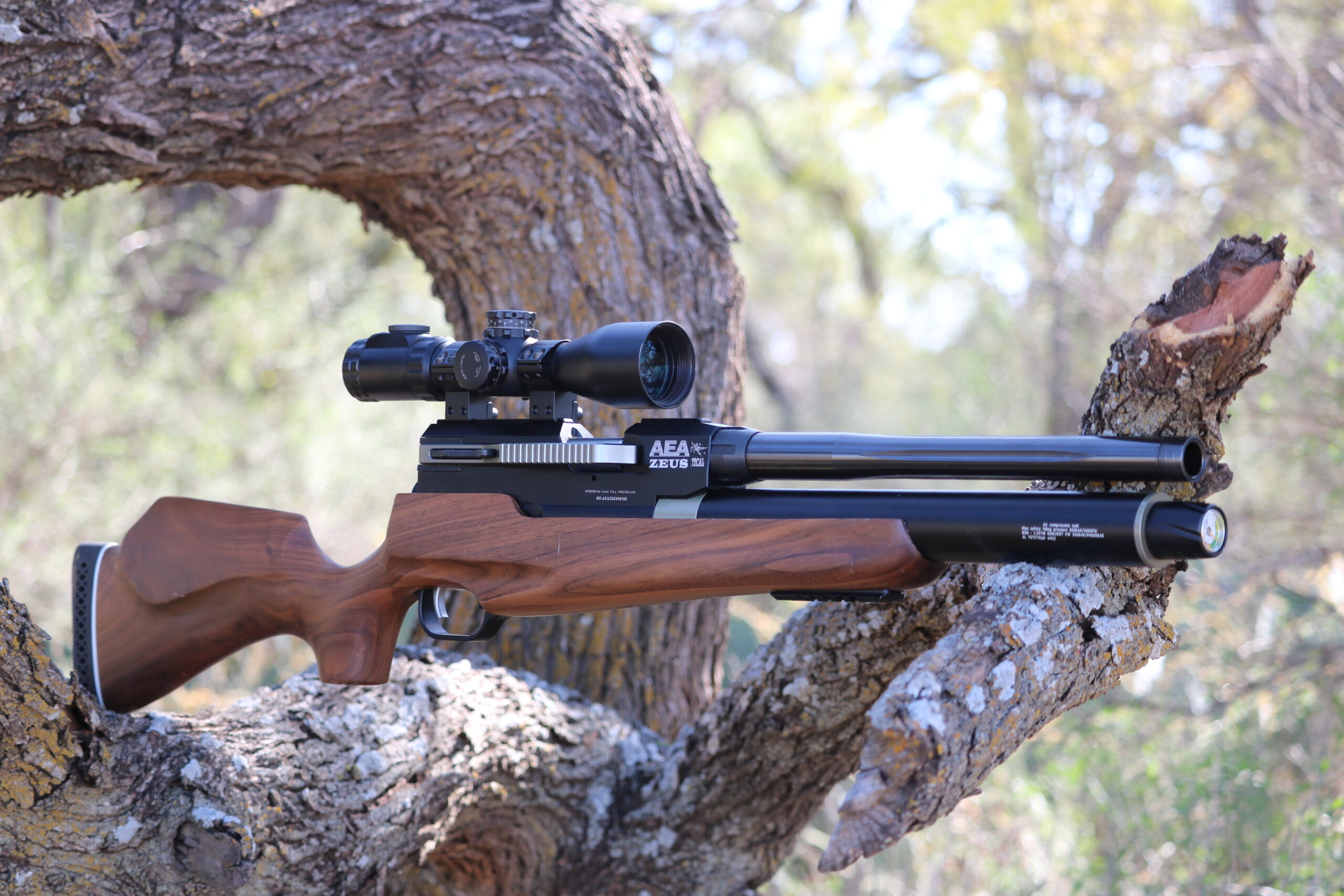 AEA Zeus .72 cal air rifle