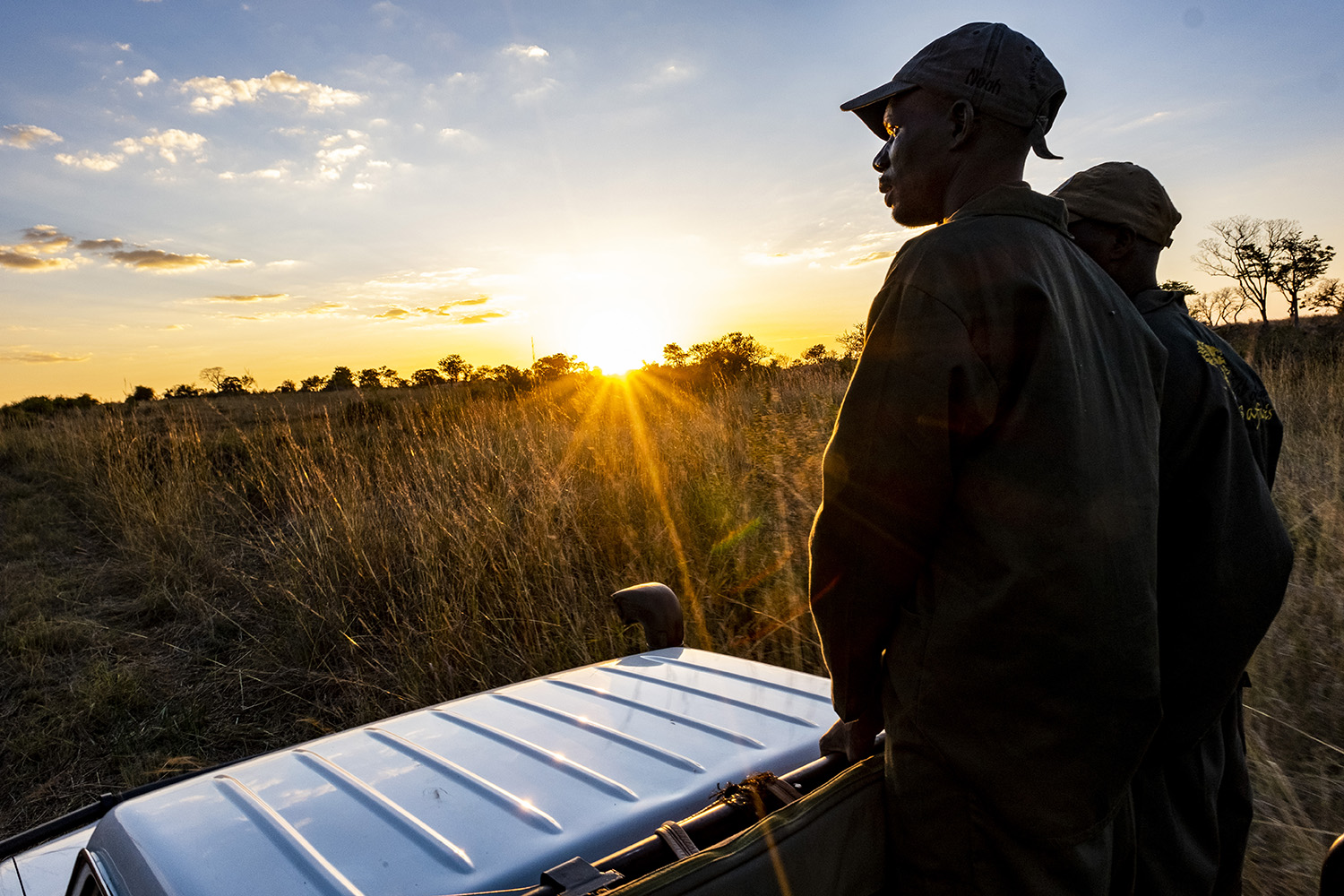 Game trackers search for Cape buffalo in Zimbabwe.